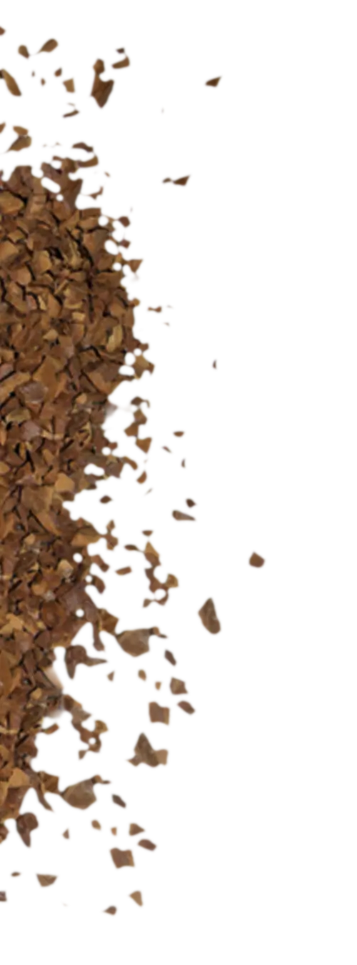 Left Image